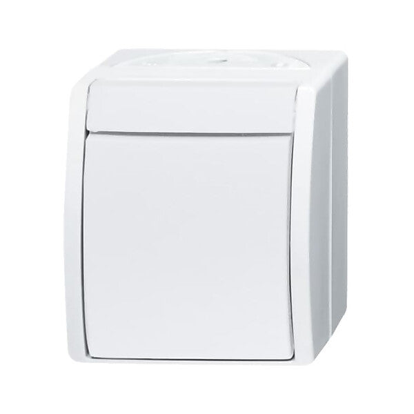 Busch-Jaeger Ausschalter 2601/2 W-54